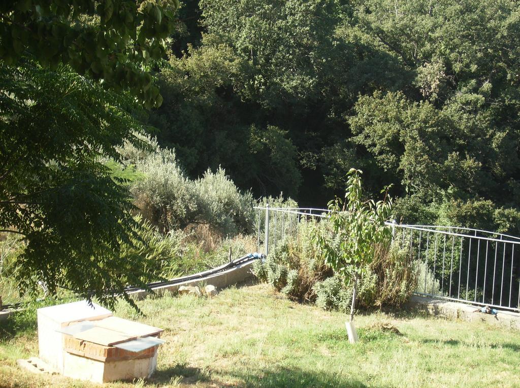 شقة Montorgiali  في Maremma Verde الغرفة الصورة
